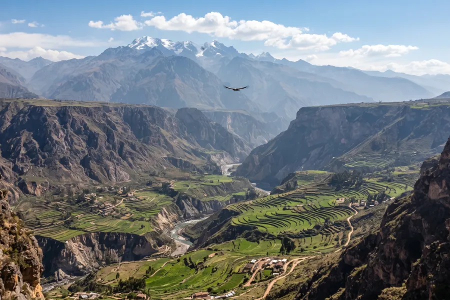 Colca Canyon Peru