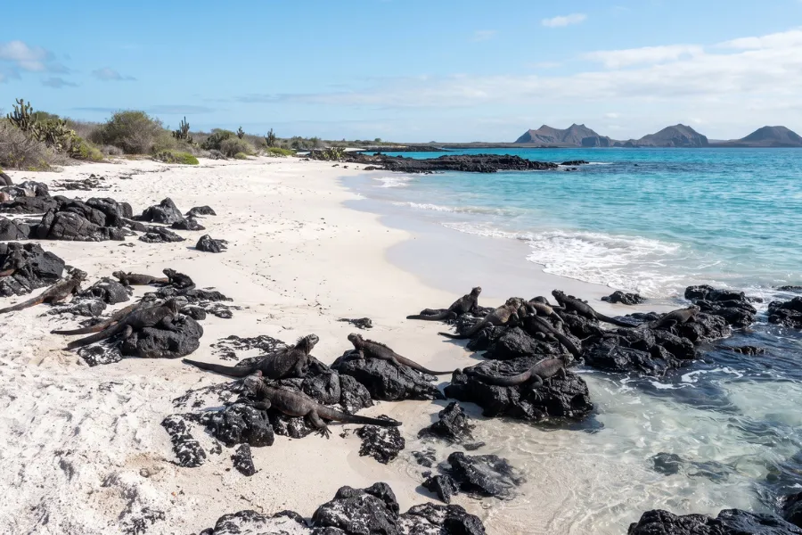 Galápagos Islands UNESCO site